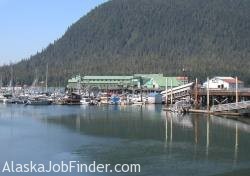 Processing salmon fish at the local Petersburg Cannery in Alaska 